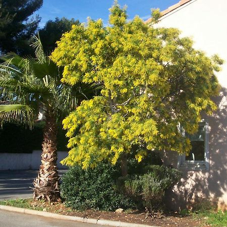 Stars Antibes Hotel บิโอต์ ภายนอก รูปภาพ