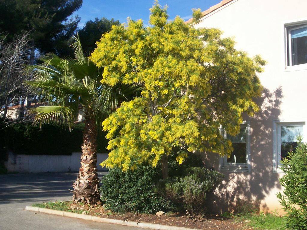 Stars Antibes Hotel บิโอต์ ภายนอก รูปภาพ